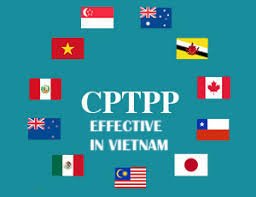 CPTPP: Effective in Vietnam
