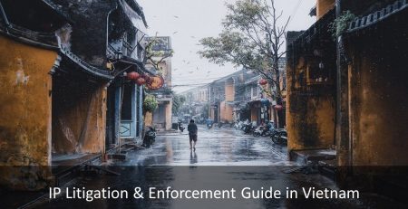 IP Litigation & Enforcement Guide in Vietnam, IP Litigation in Vietnam, Enforcement Guide in Vietnam, Vietnam IP Litigation, Vietnam Enforcement Guide, IP Litigation, Enforcement guide, Vietnam