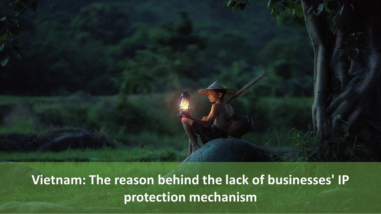 Vietnam: The reason behind the lack of businesses' IP protection mechanism, The reason behind the lack of businesses' IP protection mechanism, The reason behind the lack in Vietnam businesses' IP protection strategy, Lack a strategic and proactive regional and international IP plan, The differences in legislation among foreign markets