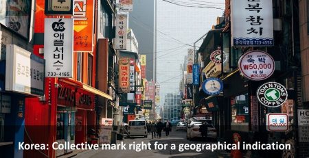 Korea: Collective mark right for a geographical indication, Collective mark right for a geographical indication, Collective mark right, geographical indication