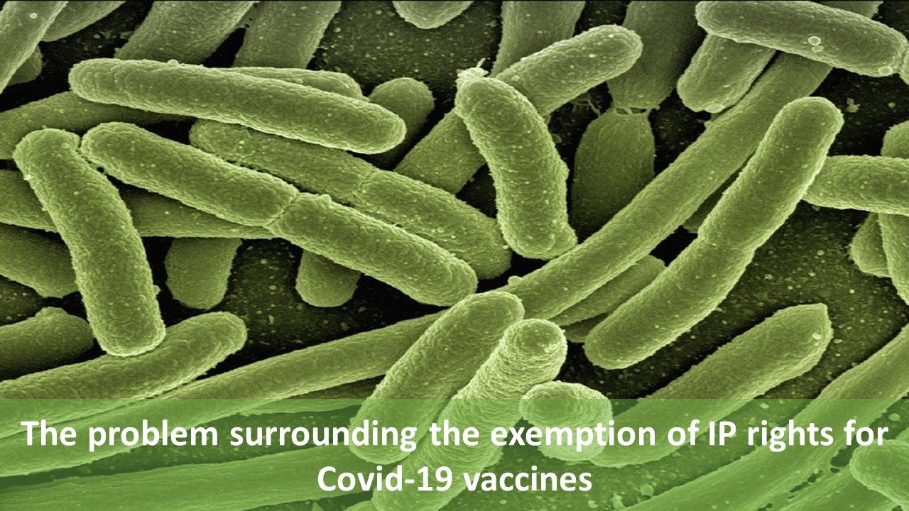 The problem surrounding the exemption of IP rights for Covid-19 vaccines, the exemption of IP rights, the exemption of IP rights for Covid-19 vaccines, IP rights for Covid-19 vaccines