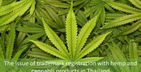 The issue of trademark registration with hemp and cannabis products in Thailand, Cannabis and hemp in Thailand, Cannabis and hemp, Role of cannabis and hemp in IP field in Thailand