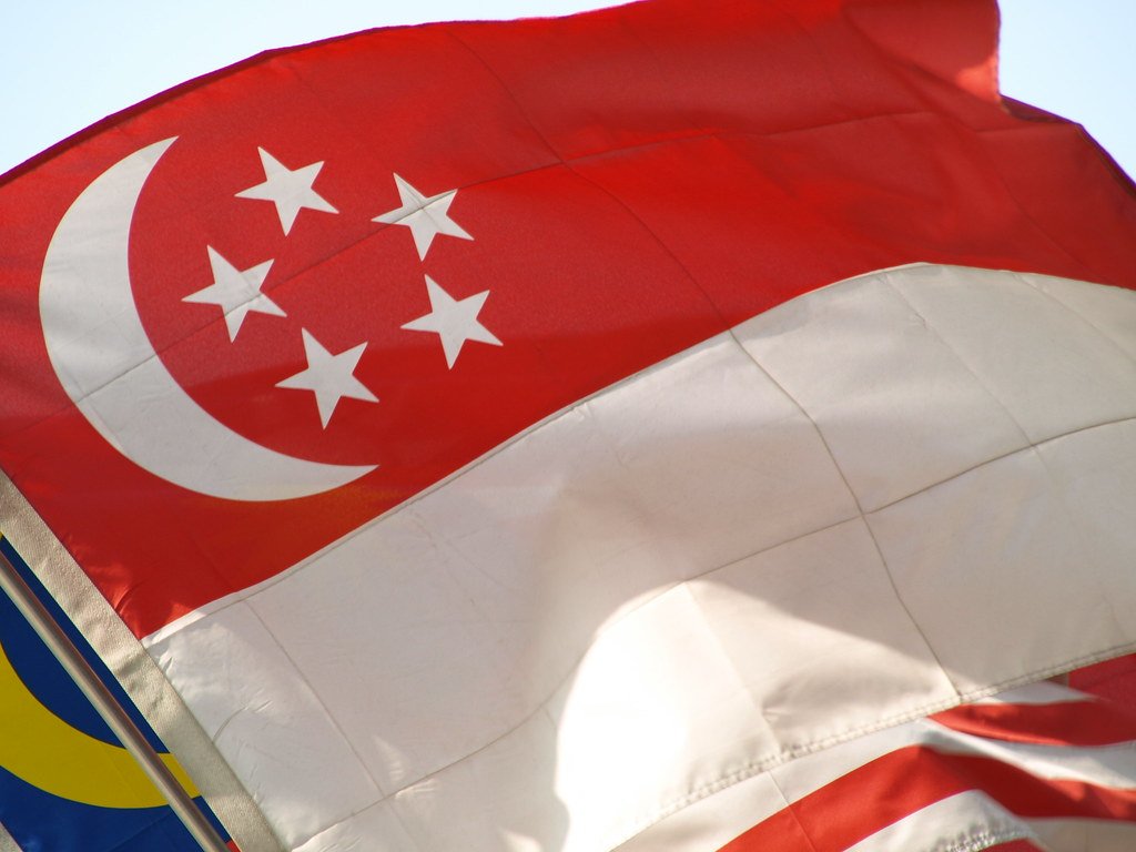 Formal Pre-Grant Third Party Observation and Post-Grant Re-Examination Procedures in Singapore