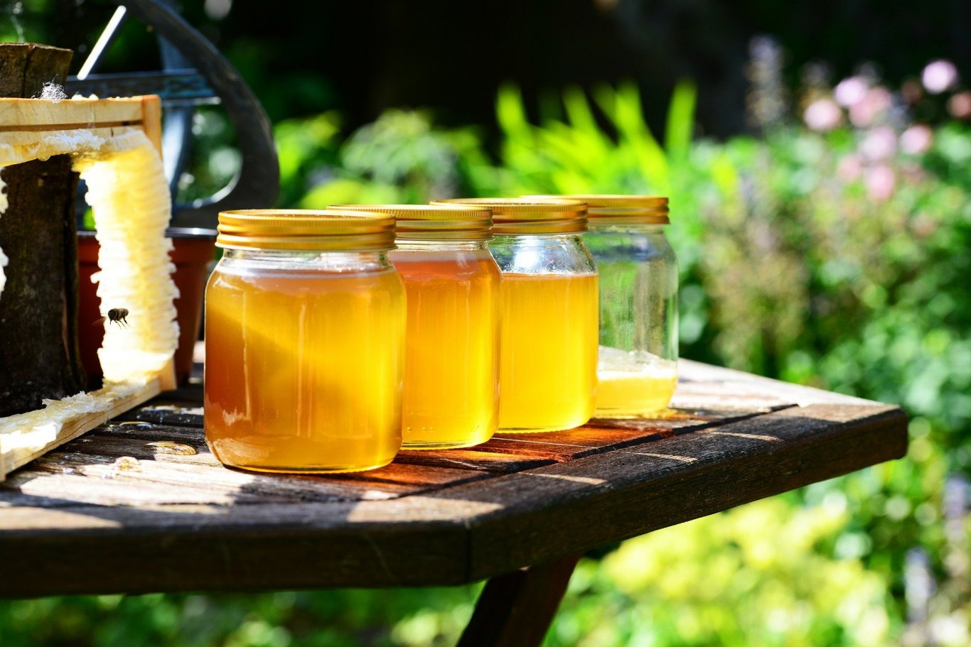 Bittersweet in the Manuka Honey trademark battle, the Manuka Honey trademark battle, the Manuka Honey, Manuka Honey