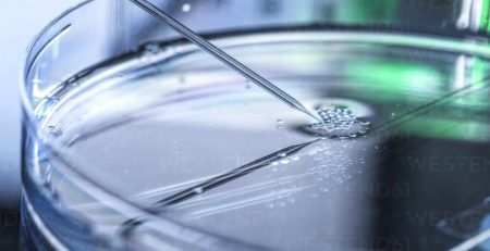 Patenting Embryonic Stem Cell Related Inventions in India