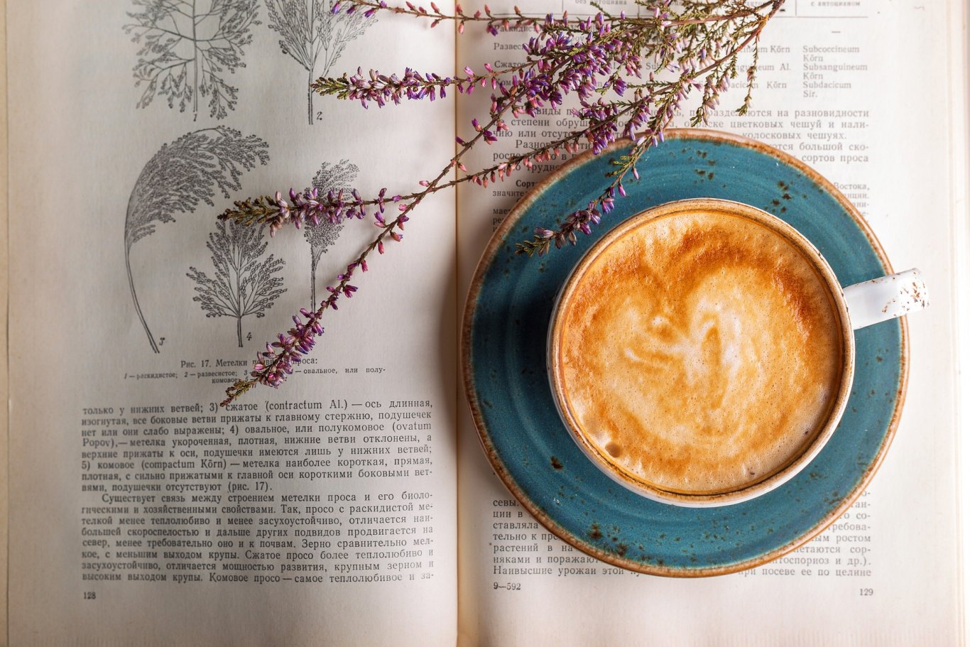 overview of non-traditional trademarks in the world, non-traditional trademarks in the world, non-traditional trademarks, overview of non-traditional trademarks,