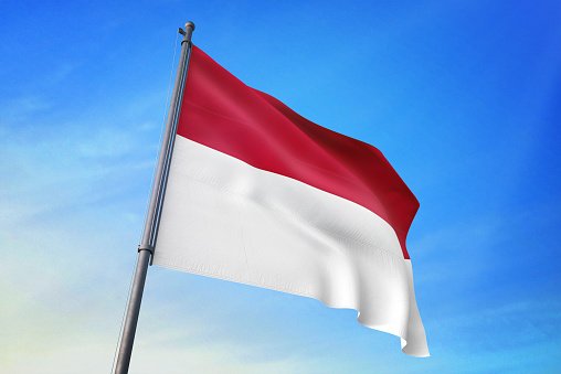 WIPO: Indonesia is among the countries with the highest number of IP applications