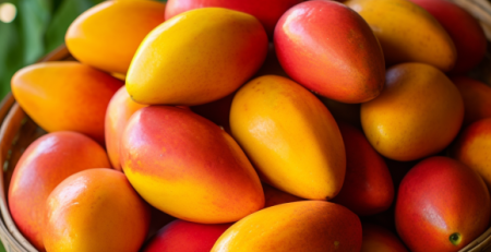 some insights into the Guimaras mangoes geographical indication in the Philippines, Guimaras mangoes geographical indication in the Philippines, Guimaras mangoes geographical indication ,